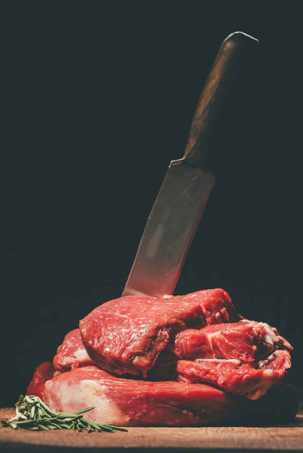 Découvrez notre gamme diversifiée de couteaux à steak